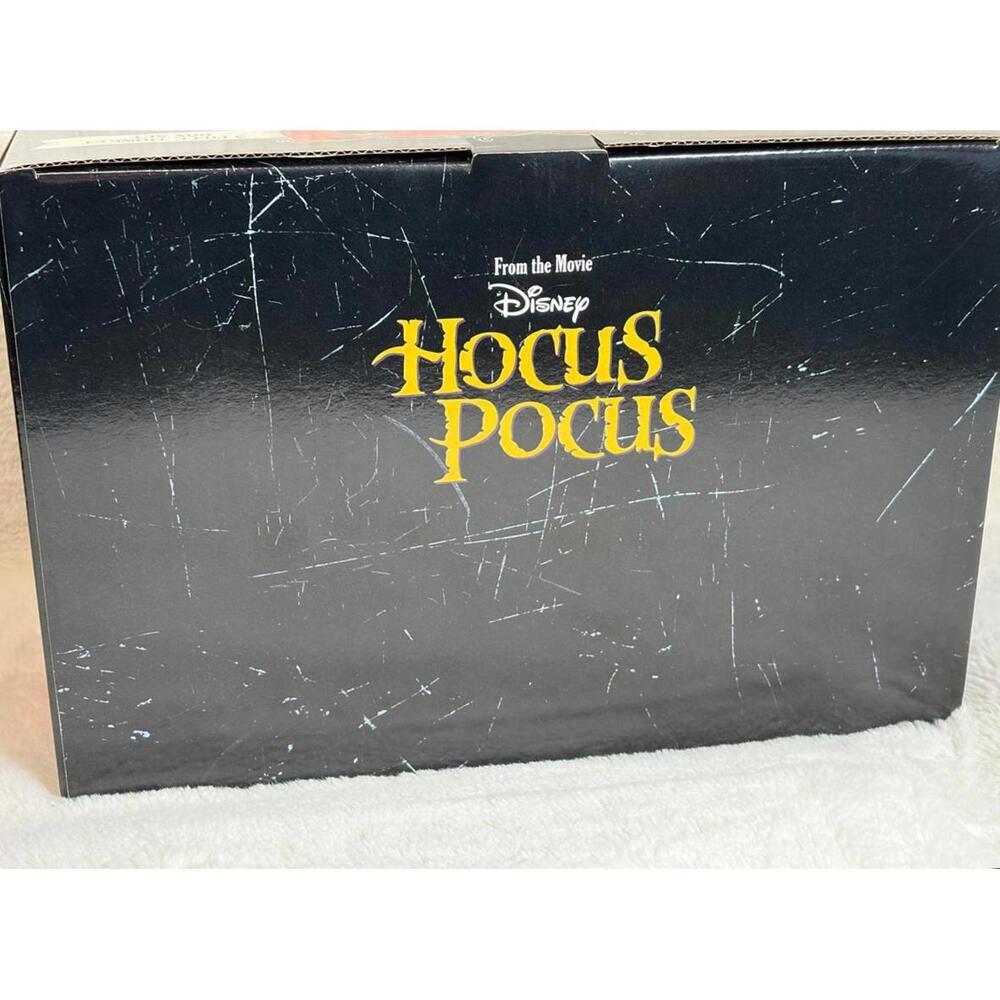 Disney Hocus Pocus Sanderson Sisters “Special Potion” 3-Piece Trinket Box Set​ - Picture 8 of 9